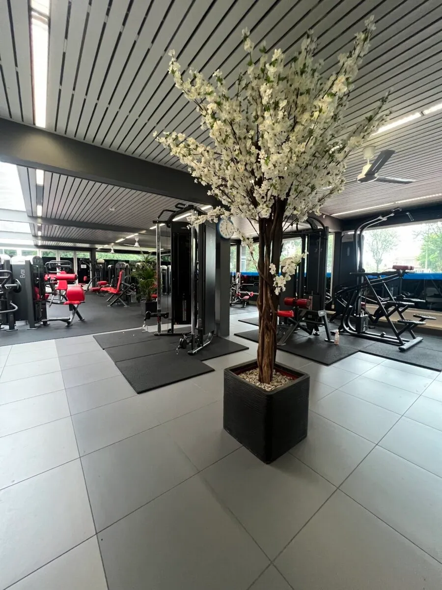 ProSport Healthcenter