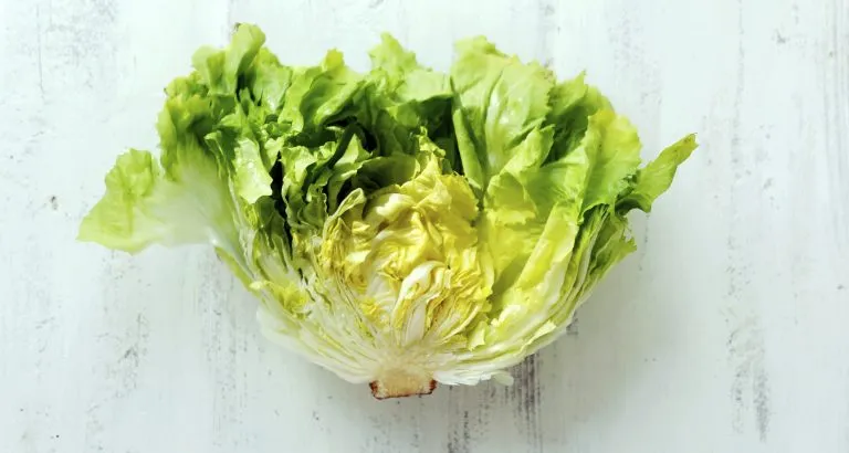Recept: Gewokte andijvie met tartaar balletjes en Parmezaanse kaas
