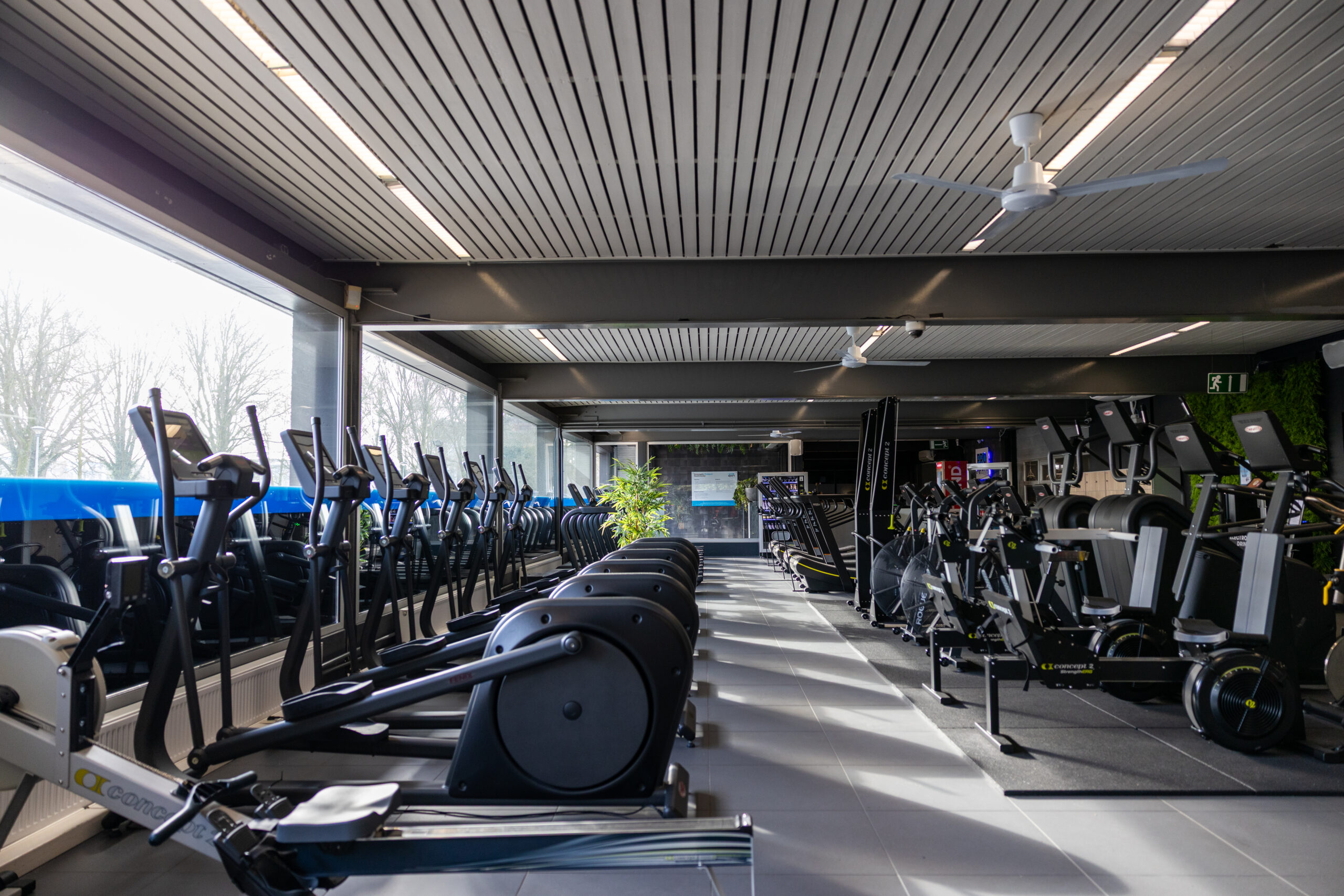 T.E.M. Photography PRO Fitness 3